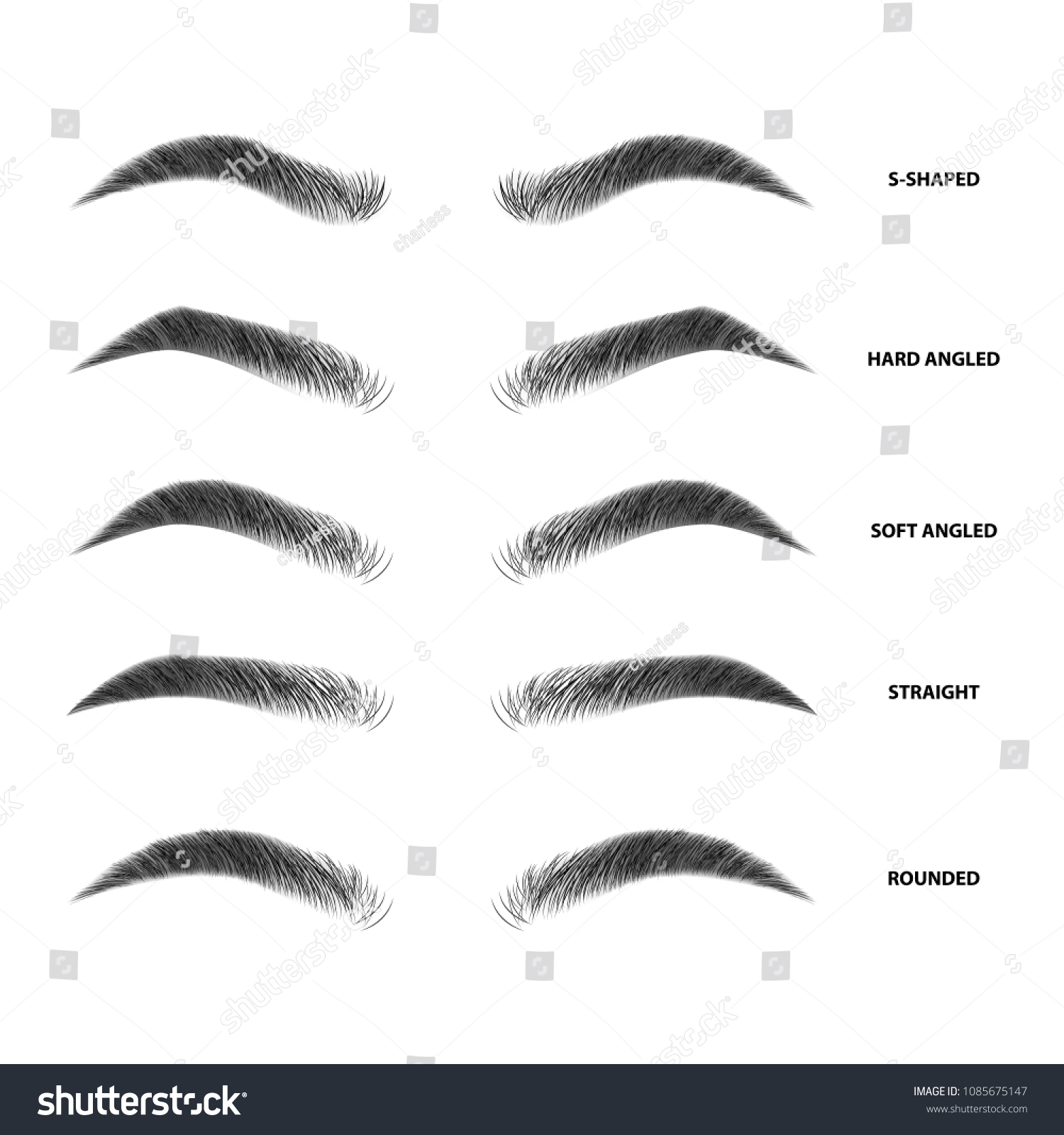 Eyebrows shapes vector Images, Stock Photos & Vectors | Shutterstock