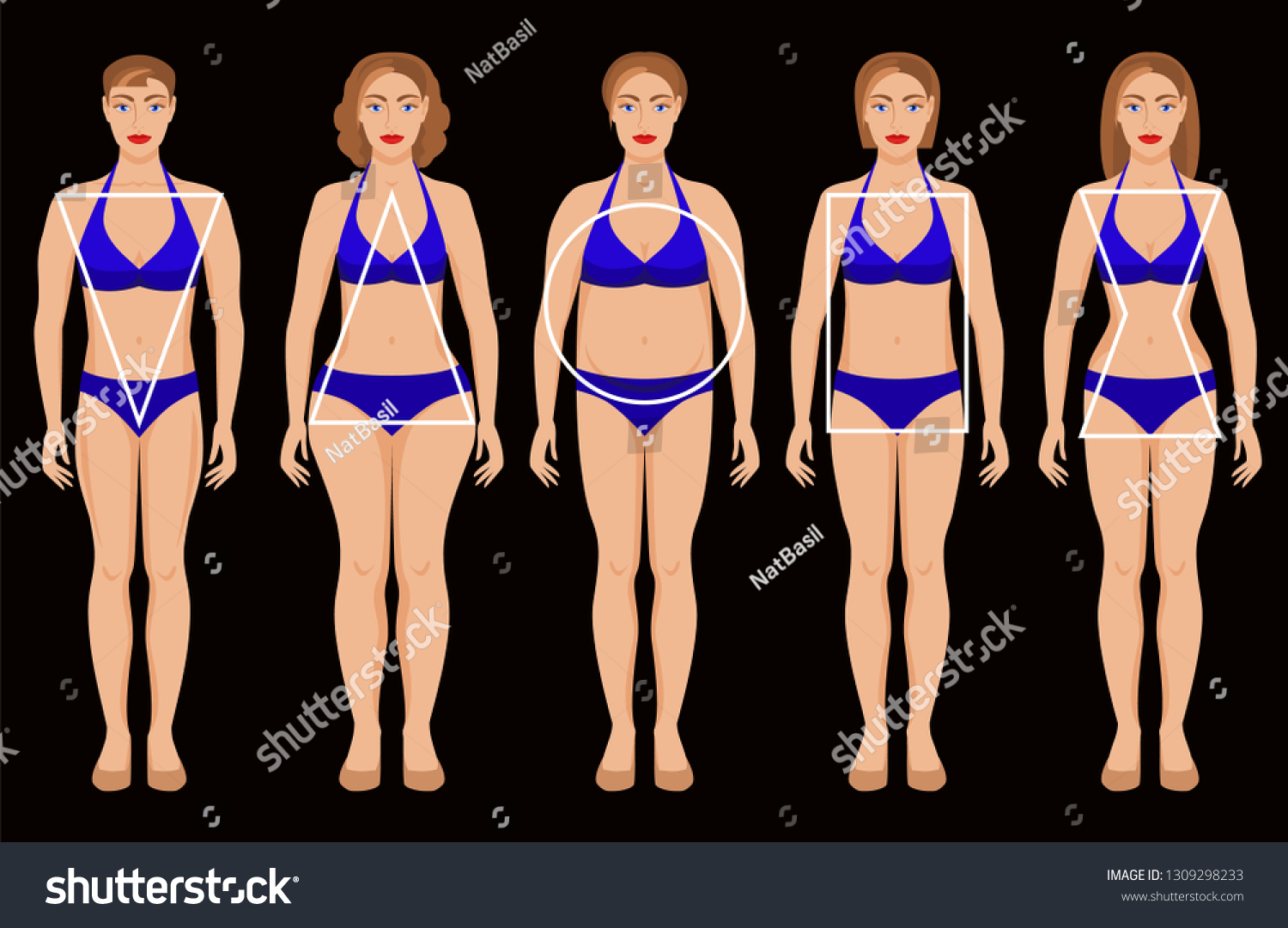 types-female-figures-stock-vector-royalty-free-1309298233-shutterstock