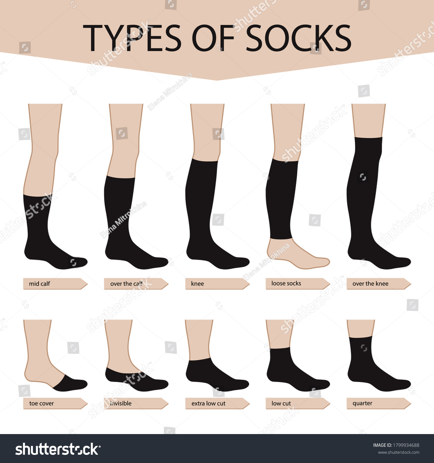 Types Socks Set Various Forms Socks Stock Vector (Royalty Free ...
