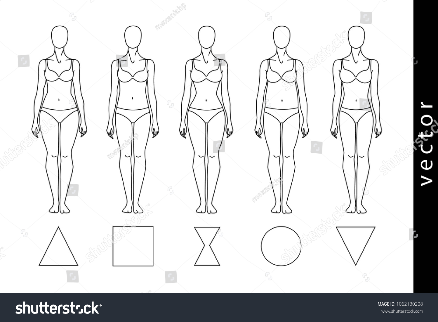 Types Female Figure Triangle Rectangle Hourglass Stock Vector (Royalty ...