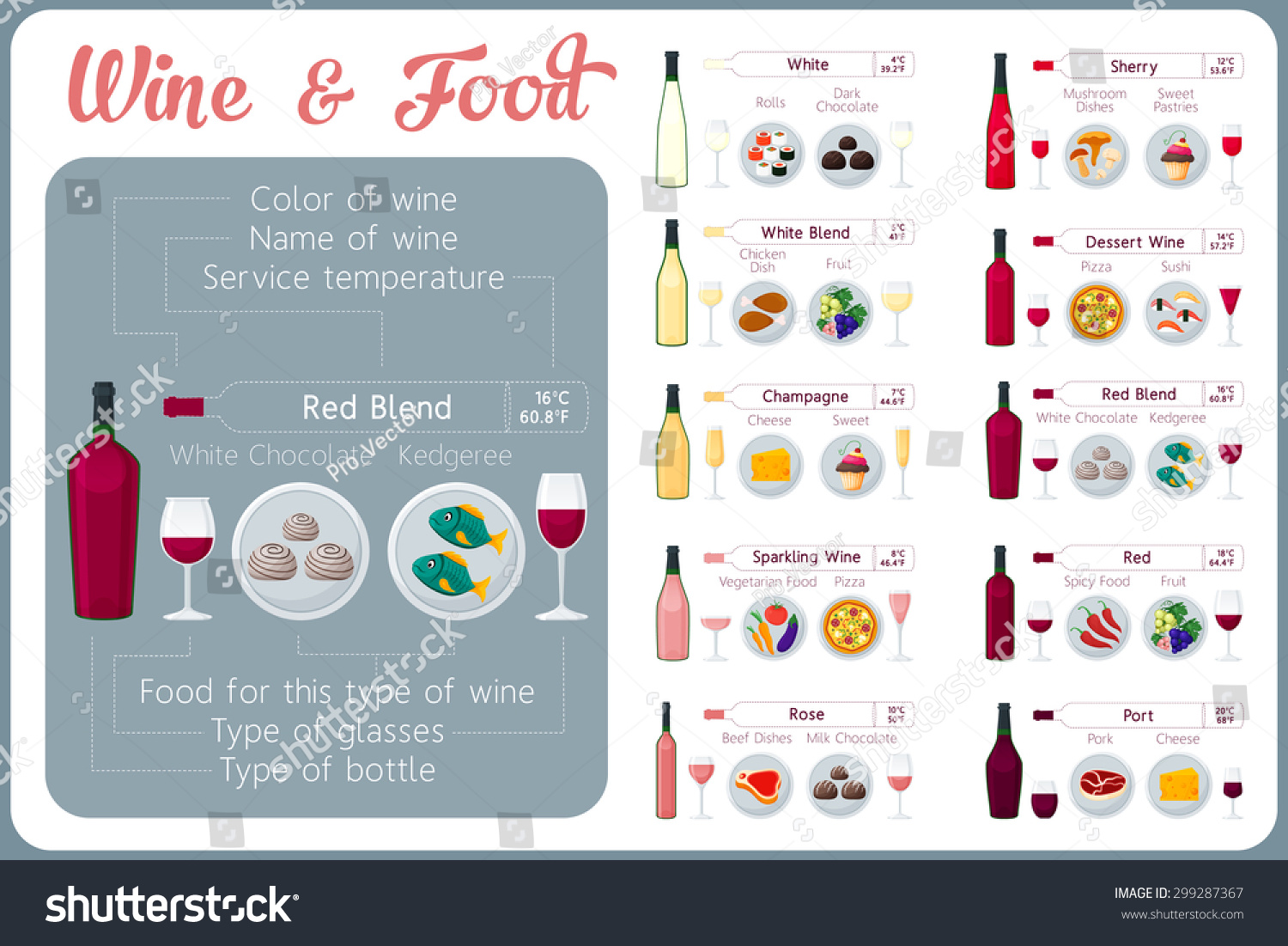 Types Wine Food Wine Tasting Guide Stock Vector 299287367 - Shutterstock