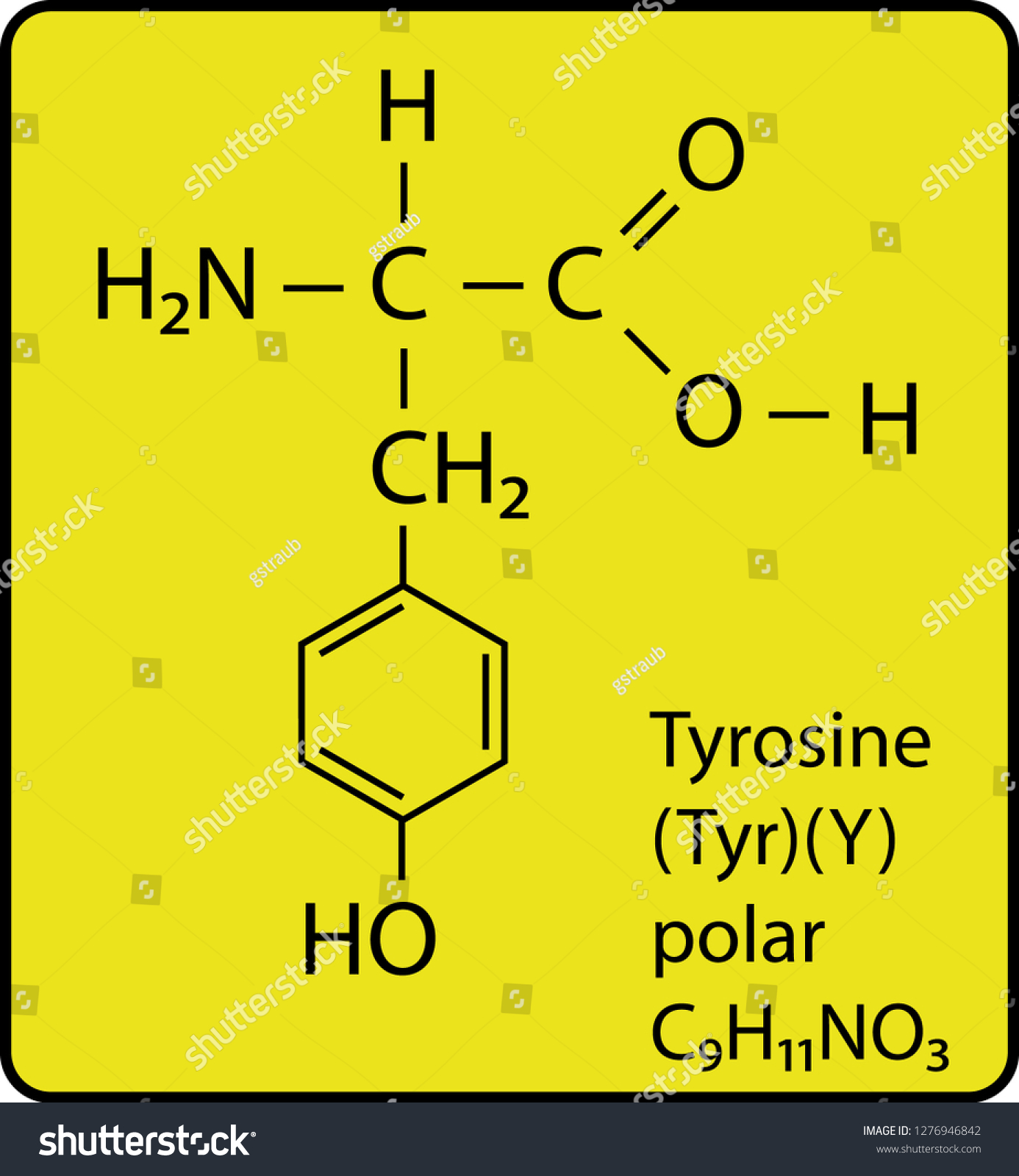 Tyrosine Amino Acid Molecule Skeletal Structure Stock Vector Royalty Free
