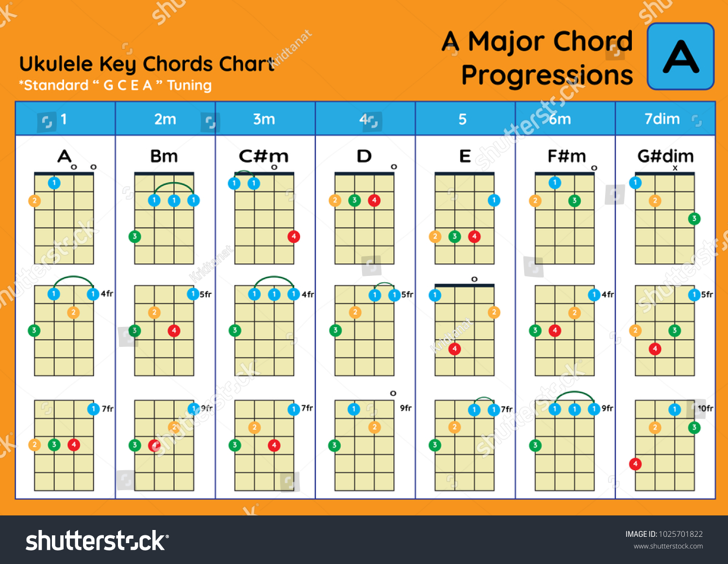 Ukulele Chord Chart Standard Tuning Ukulele Stock Vector (Royalty Free