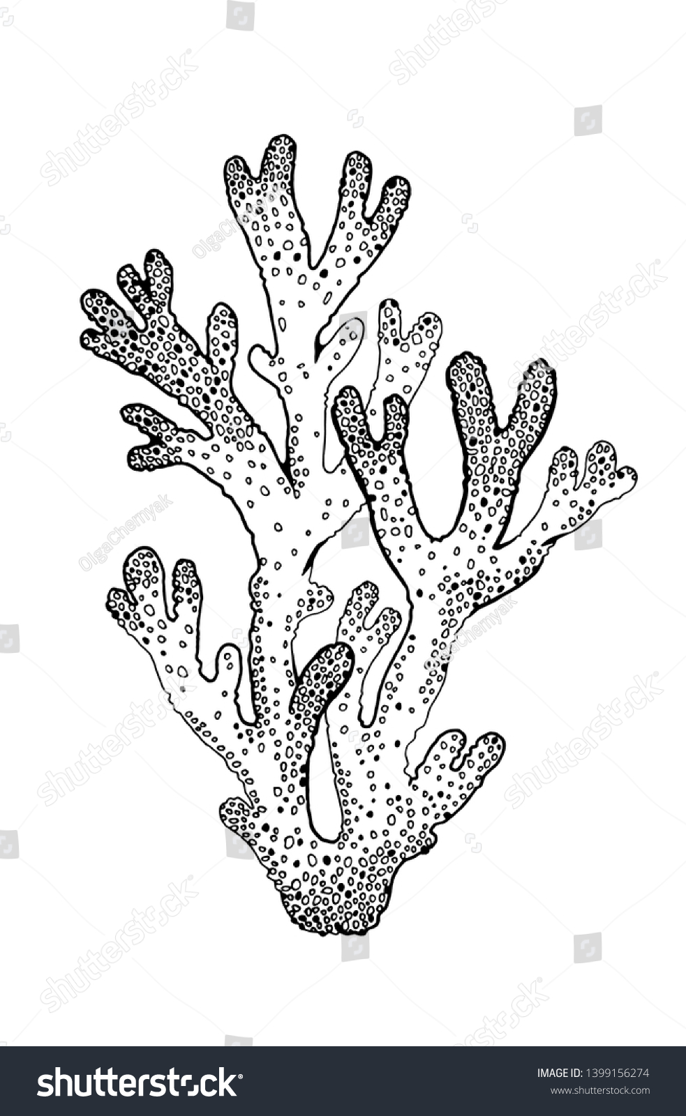 Download Underwater Coral Reef Sketch Sea Weed Stock Vector Royalty Free 1399156274