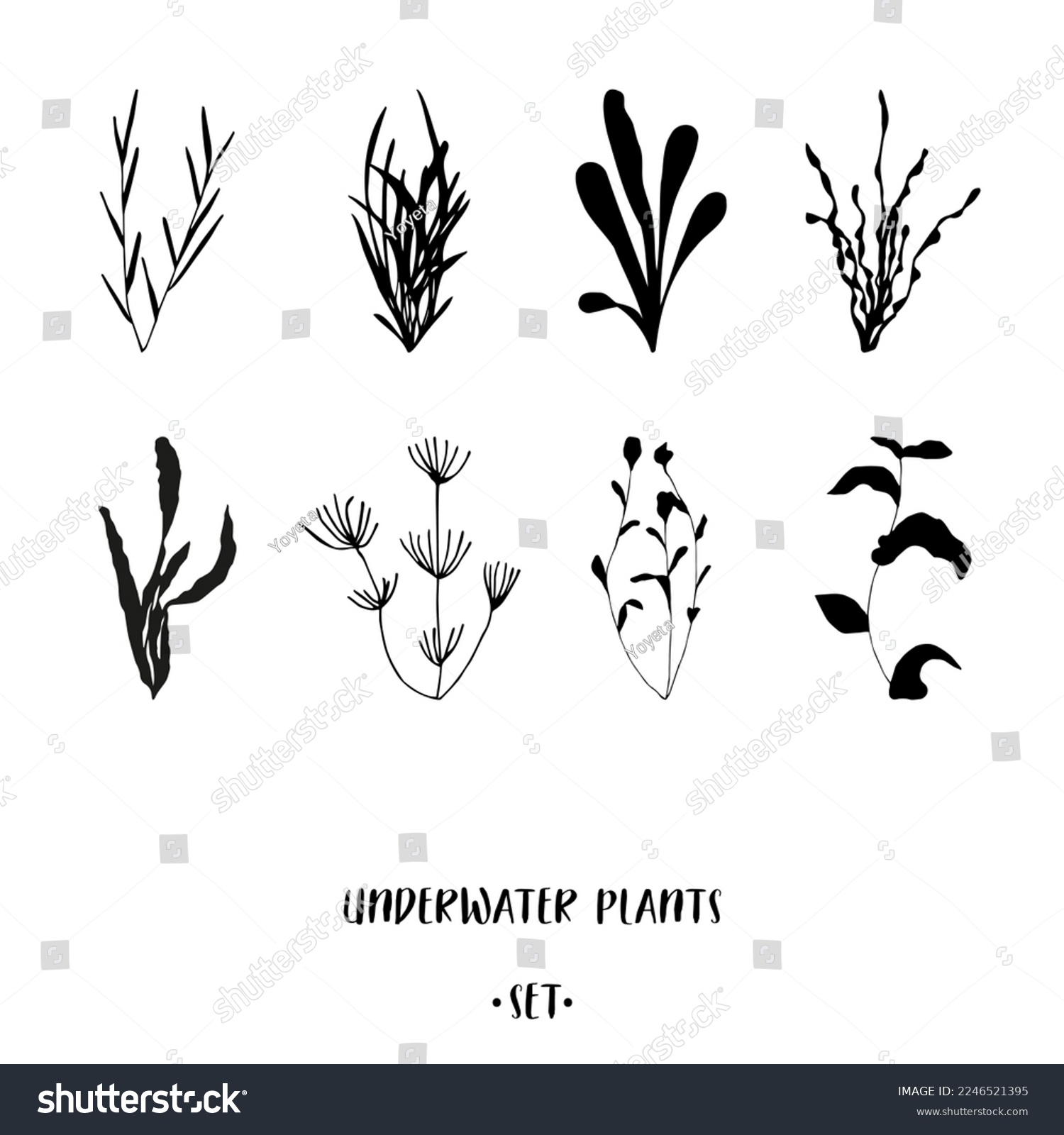 SVG of Underwater plants in black on white background. Hand drawn submerged sea and ocean weeds set for advertising and promotion such as logo, T-shirt and cap placement prints, stickers, banners, flyers svg