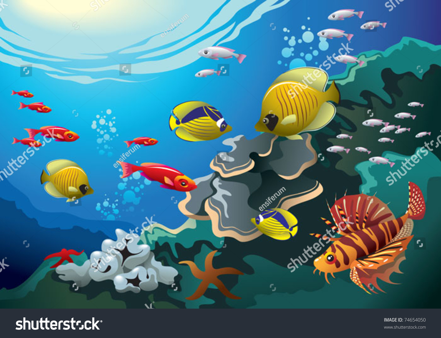 Underwater World, Coral Reefs Beneath The Sea, Many Bright Colored ...