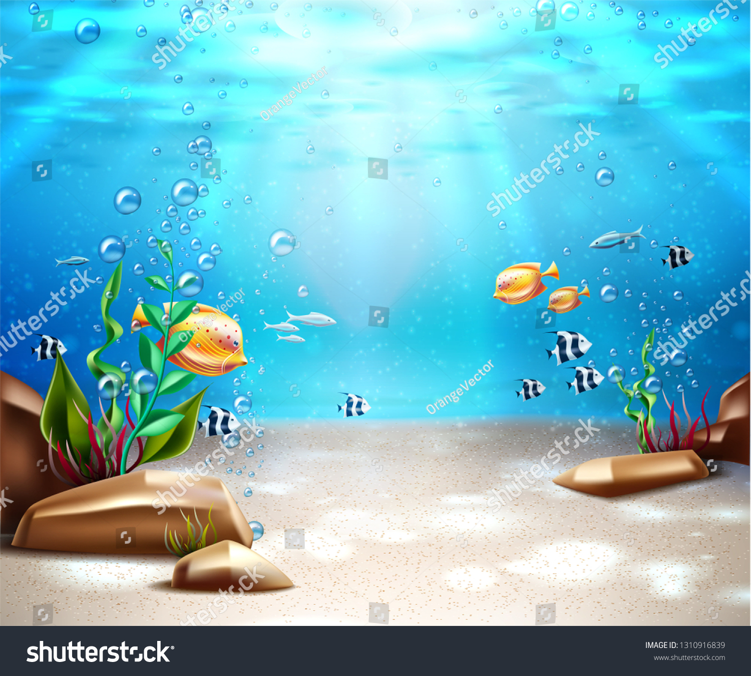 Underwater World Nature Scene Background Ocean Stock Vector (Royalty ...