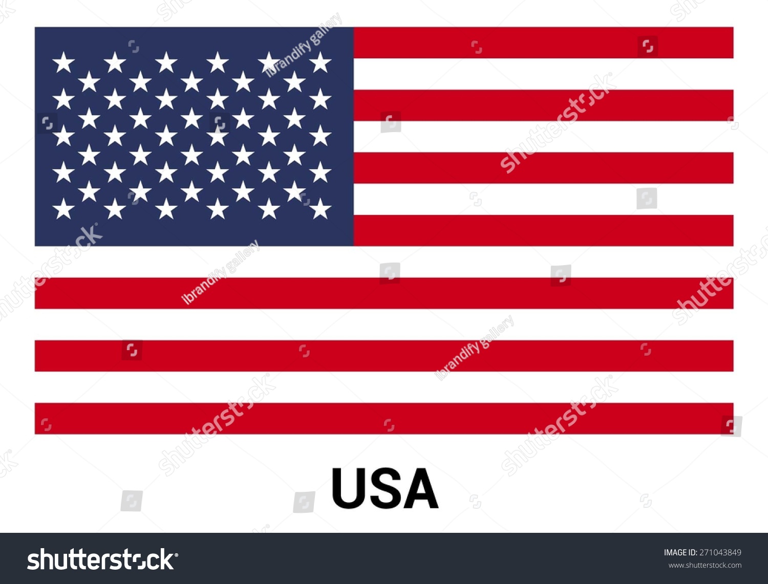 United State America Usa Flag Isolated Stock Vector 271043849 ...