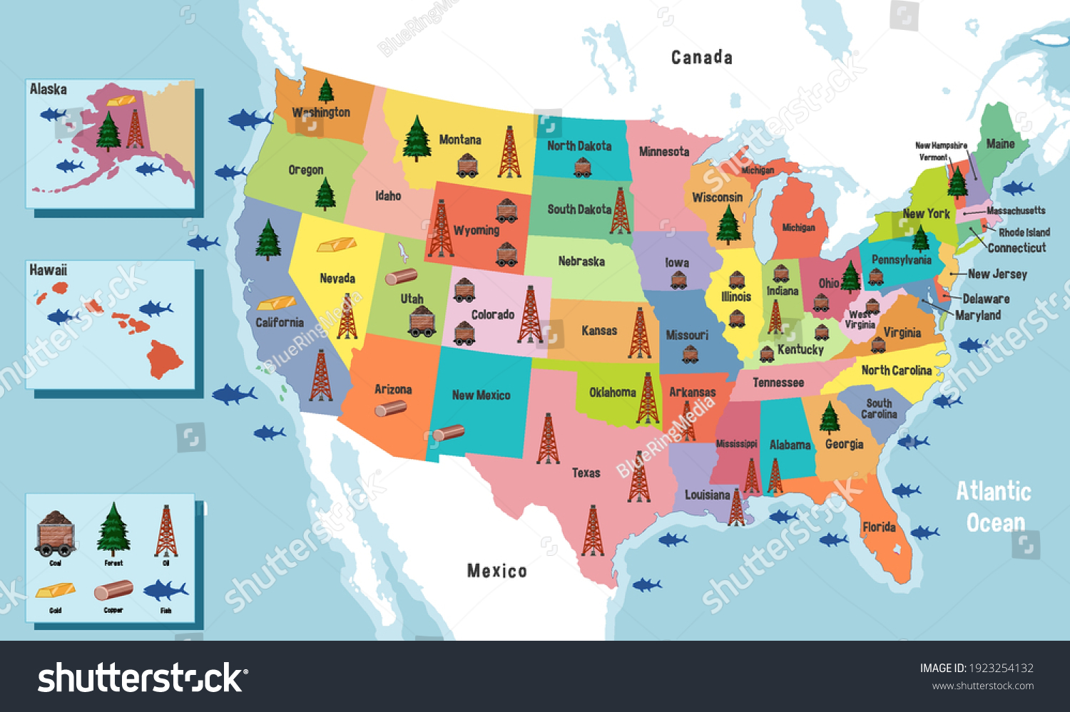 United States America Map States Names Stock Vector Royalty Free Stock Vector United States Of America Map With States Names Illustration 1923254132
