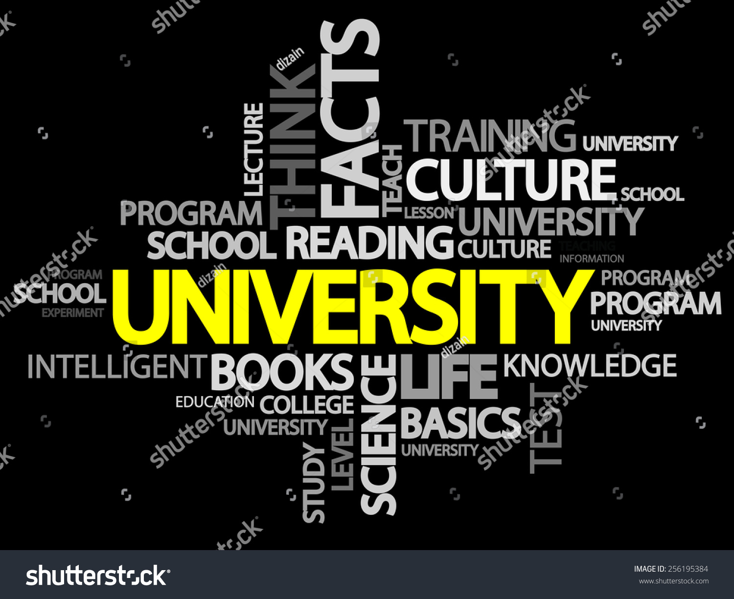 english word for university education