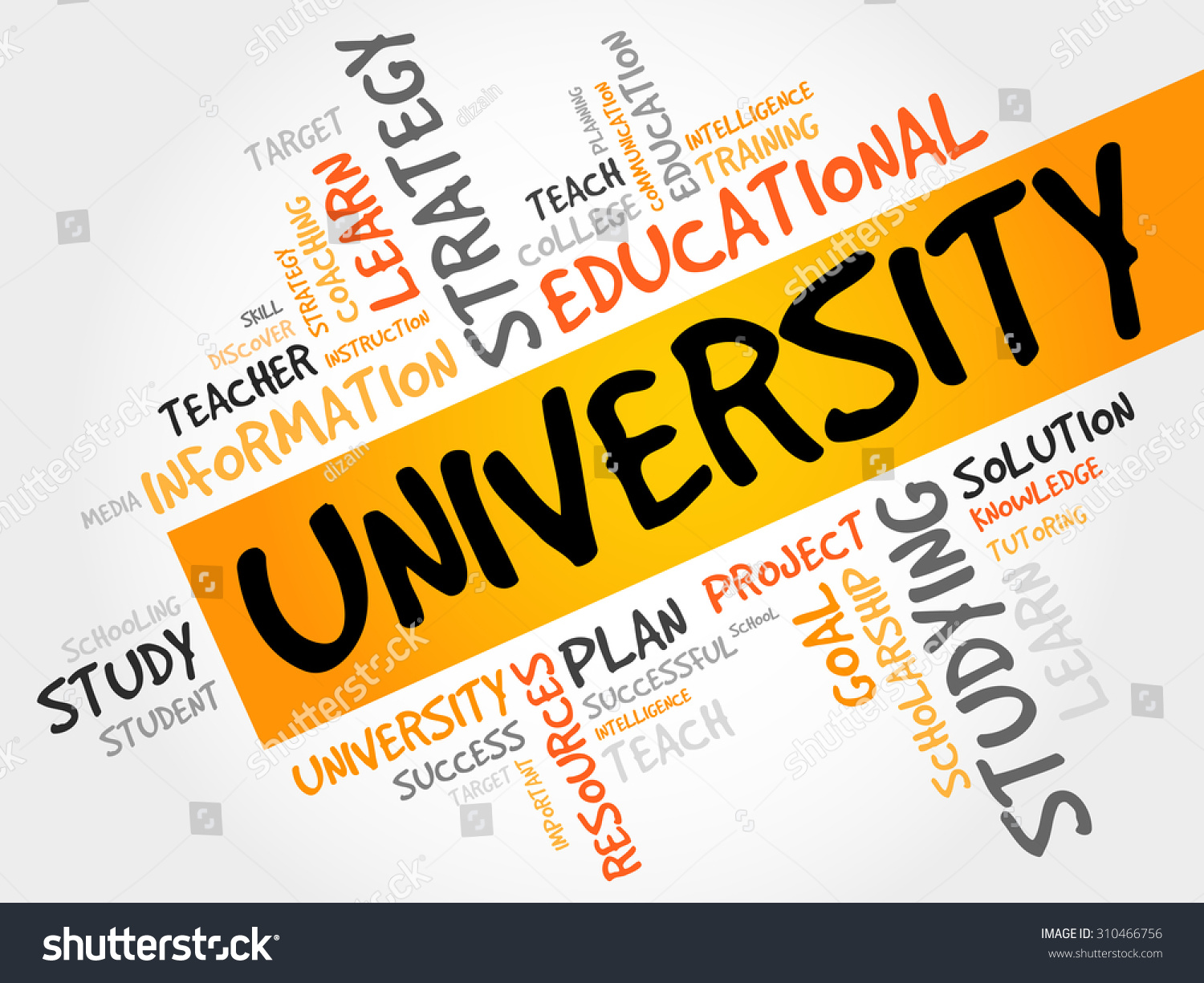 english word for university education