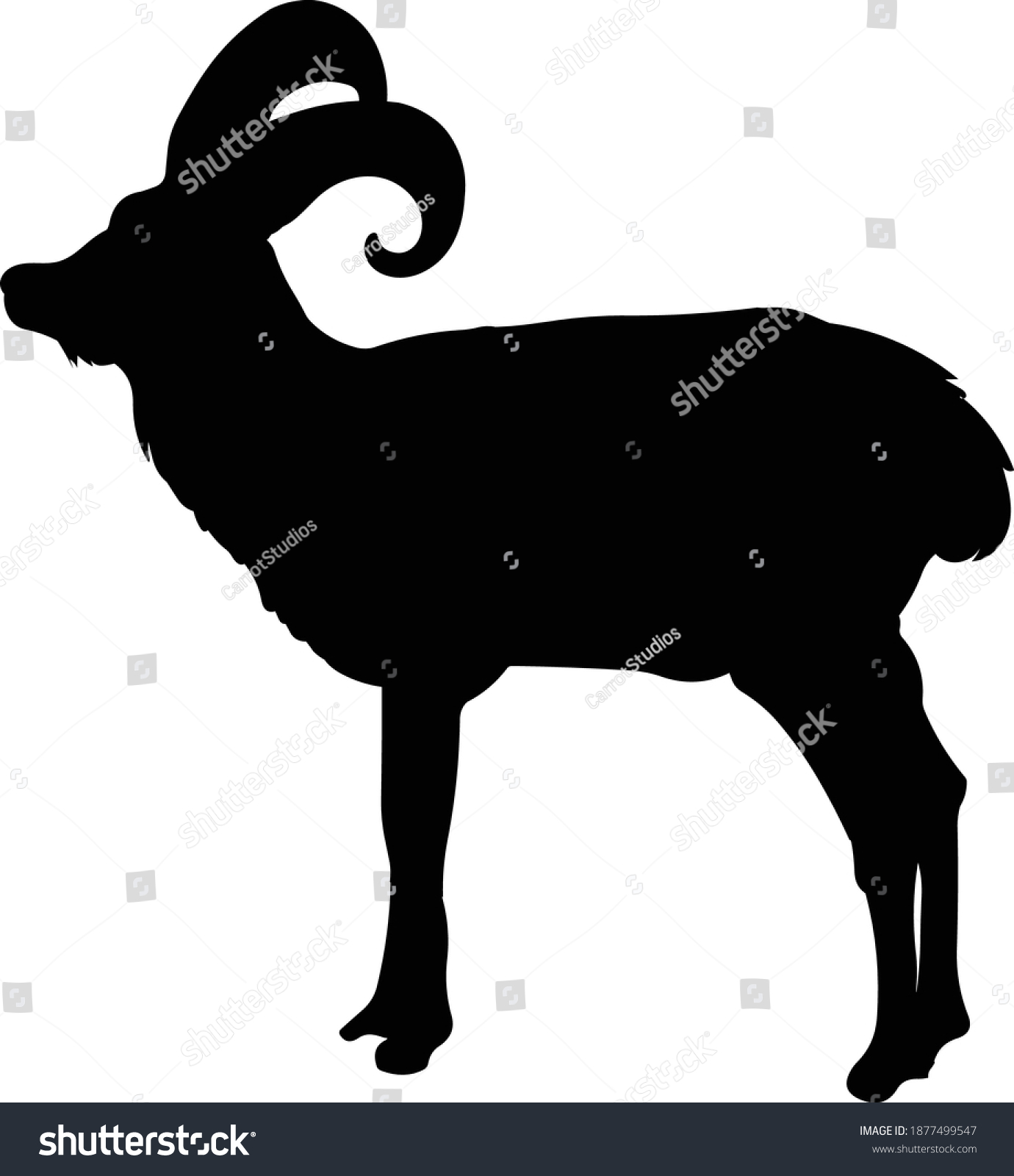 Urial Silhouette Vector Illustration White Background เวกเตอร์สต็อก