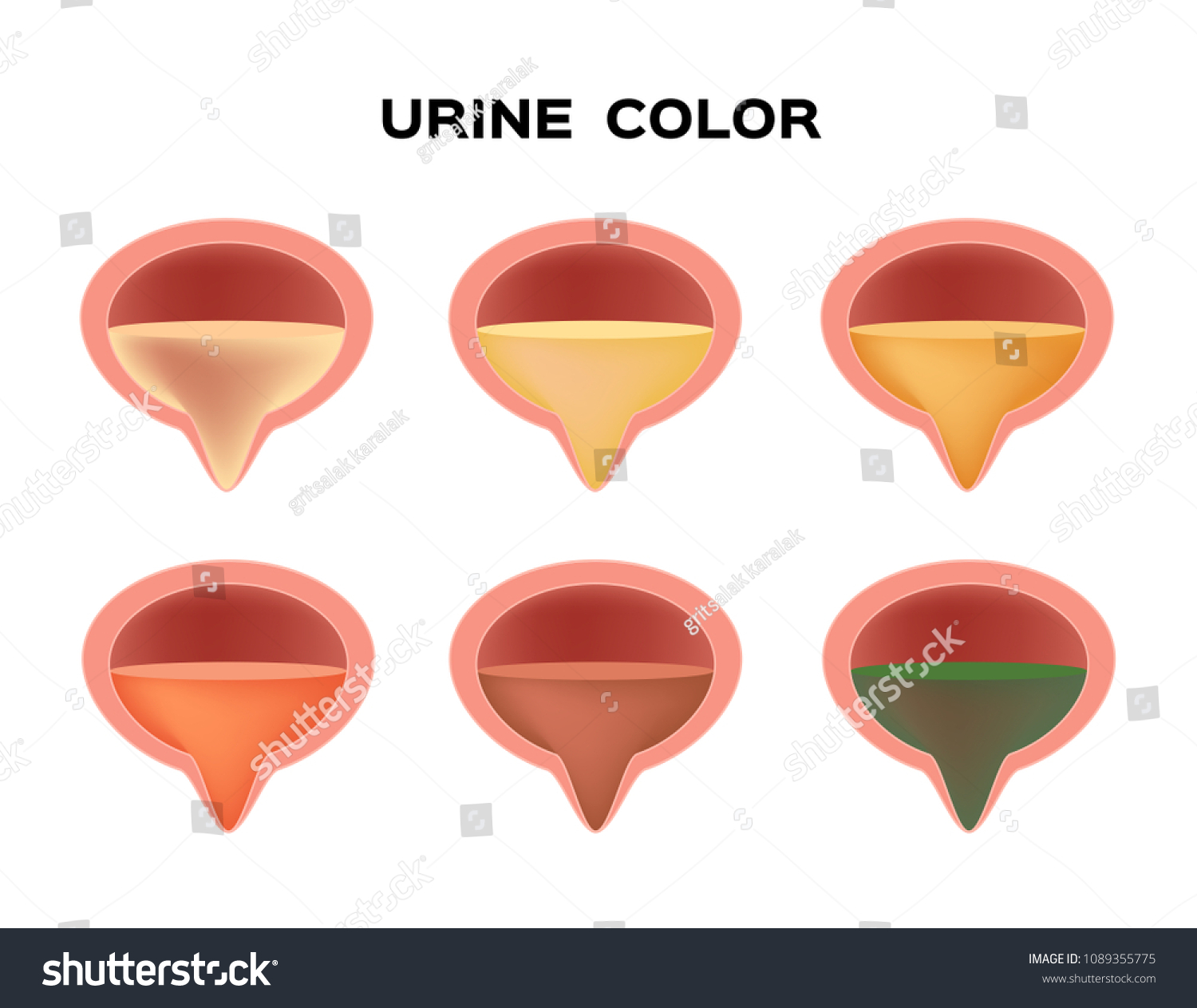 Urine Color Vector Transparent Yellow Red Stock Vector (Royalty Free ...