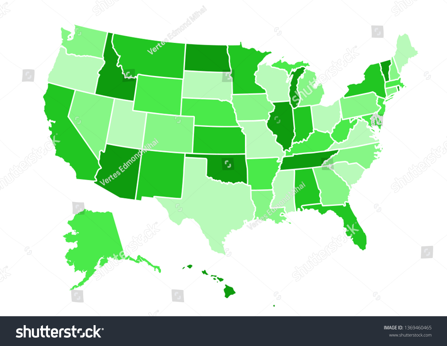 Usa Map Vector Illustration Vector De Stock Libre De Regalías 1369460465 Shutterstock