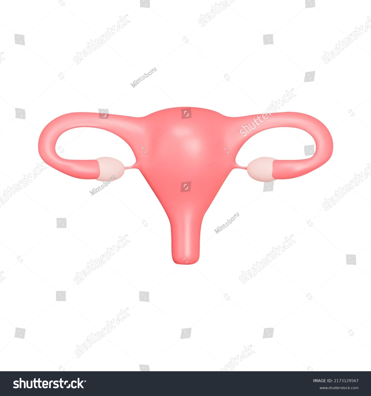 Uterus 3d Icon Female Genital Organ Stock Vector Royalty Free 2173129567 Shutterstock