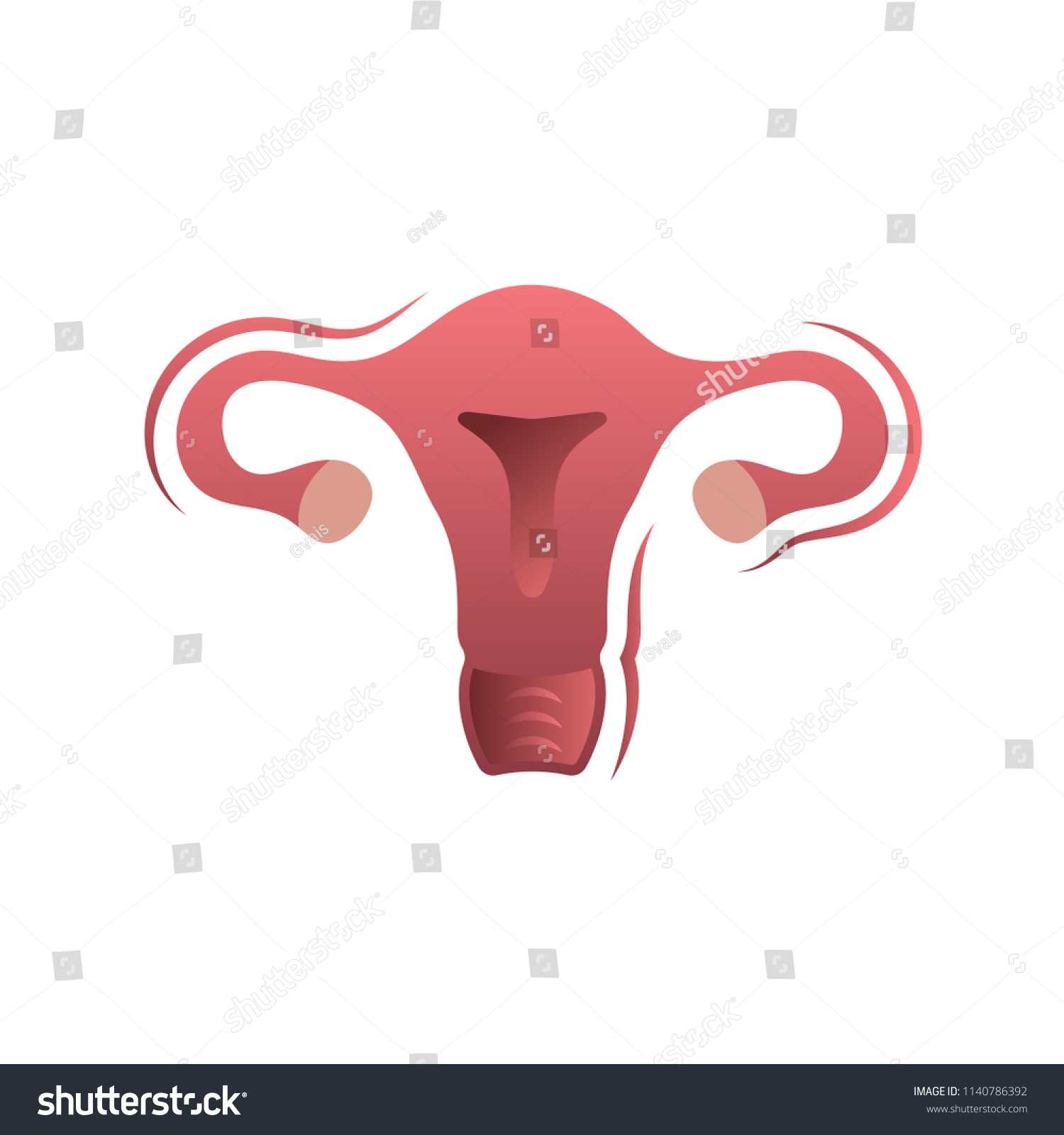 Uterus Icon Female Reproductory System Human Stock Vector (Royalty Free ...