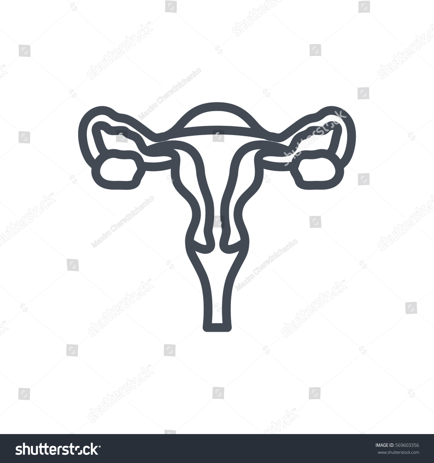 Uterus Line Icon Stock Vector 569603356 - Shutterstock