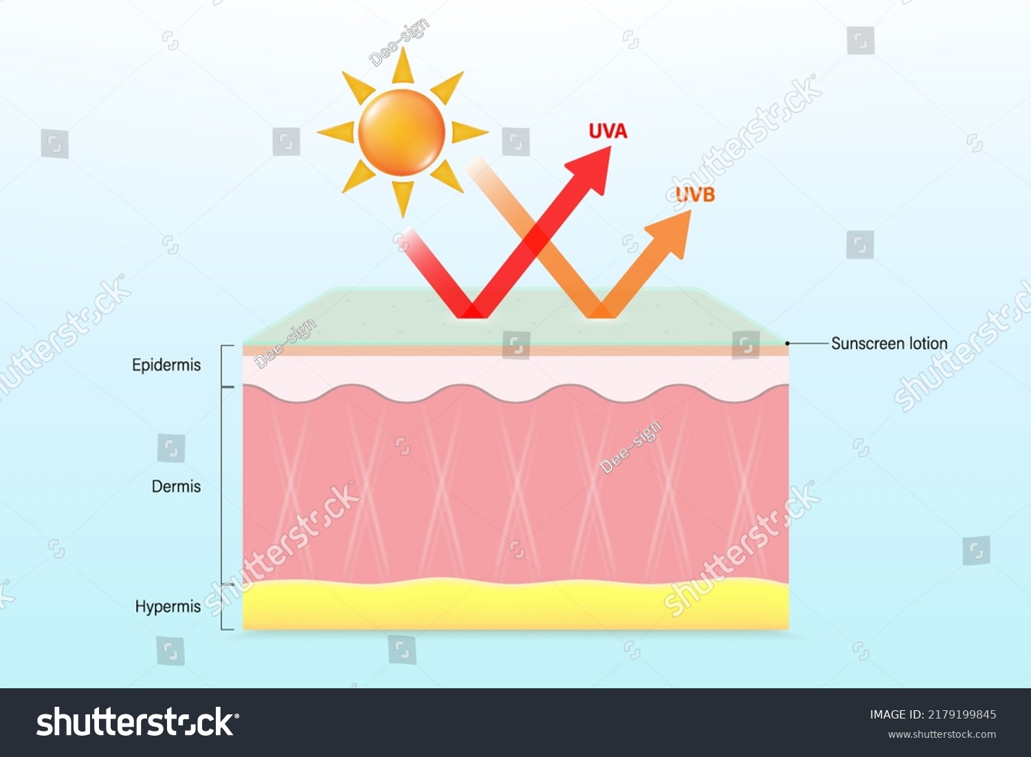 Uv Protection Sunscreen Lotion Protects Against Stock Vector (Royalty ...