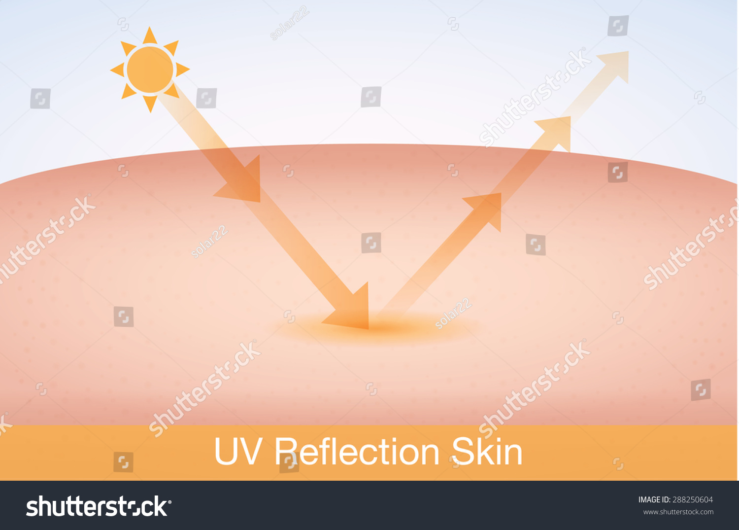 Uv Reflection Skin After Protection Skin Stock Vector 288250604 ...