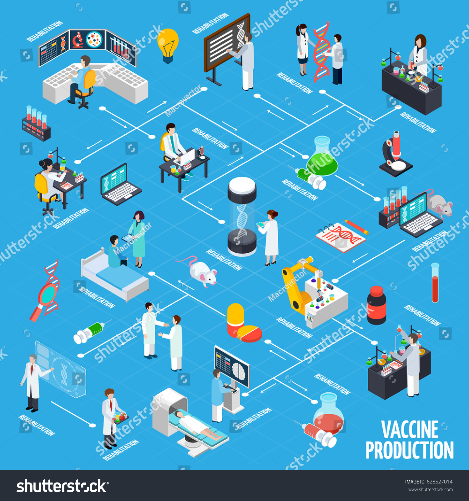 Vaccine Production Infographics Layout Science Experiments Stock Vector