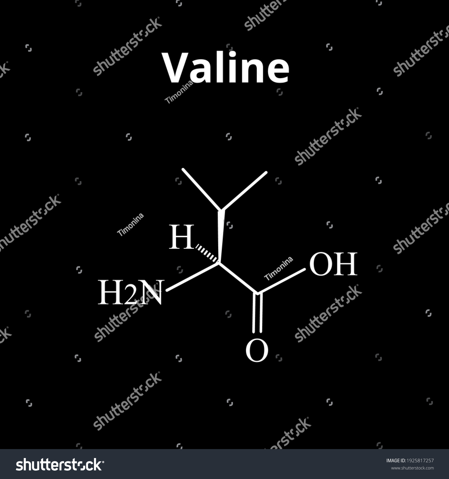 Valine Amino Acid Chemical Molecular Formula Stock Vector Royalty Free