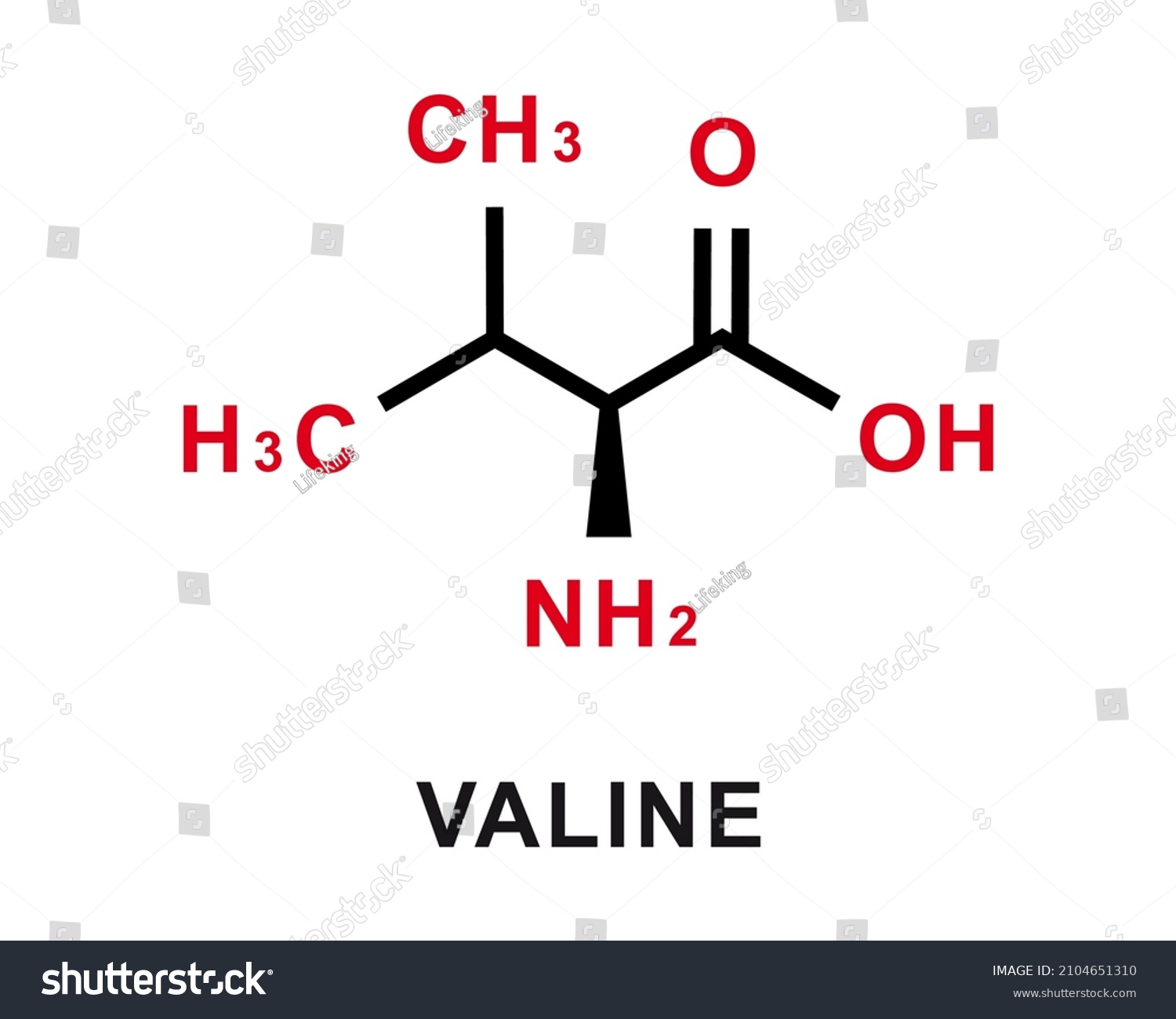 Valine Chemical Formula Valine Chemical Molecular Stock Vector (Royalty ...