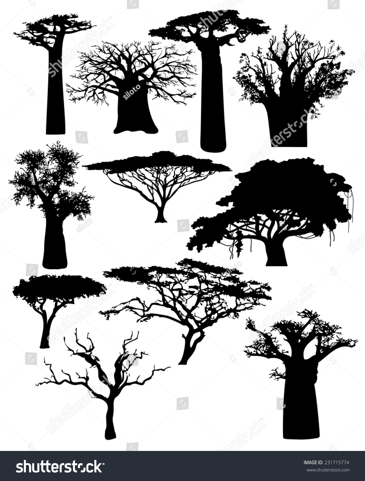 SVG of various African trees and bushes svg