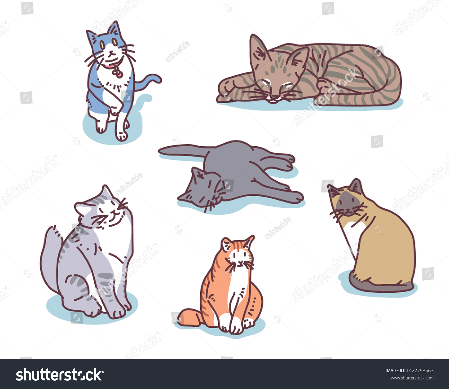 Various Breed Cats Hand Drawn Style Stock Vector Royalty Free Shutterstock