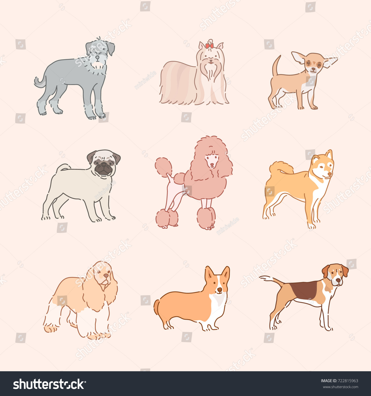 Various Dog Breeds Line Drawing Vector Stock Vector (Royalty Free