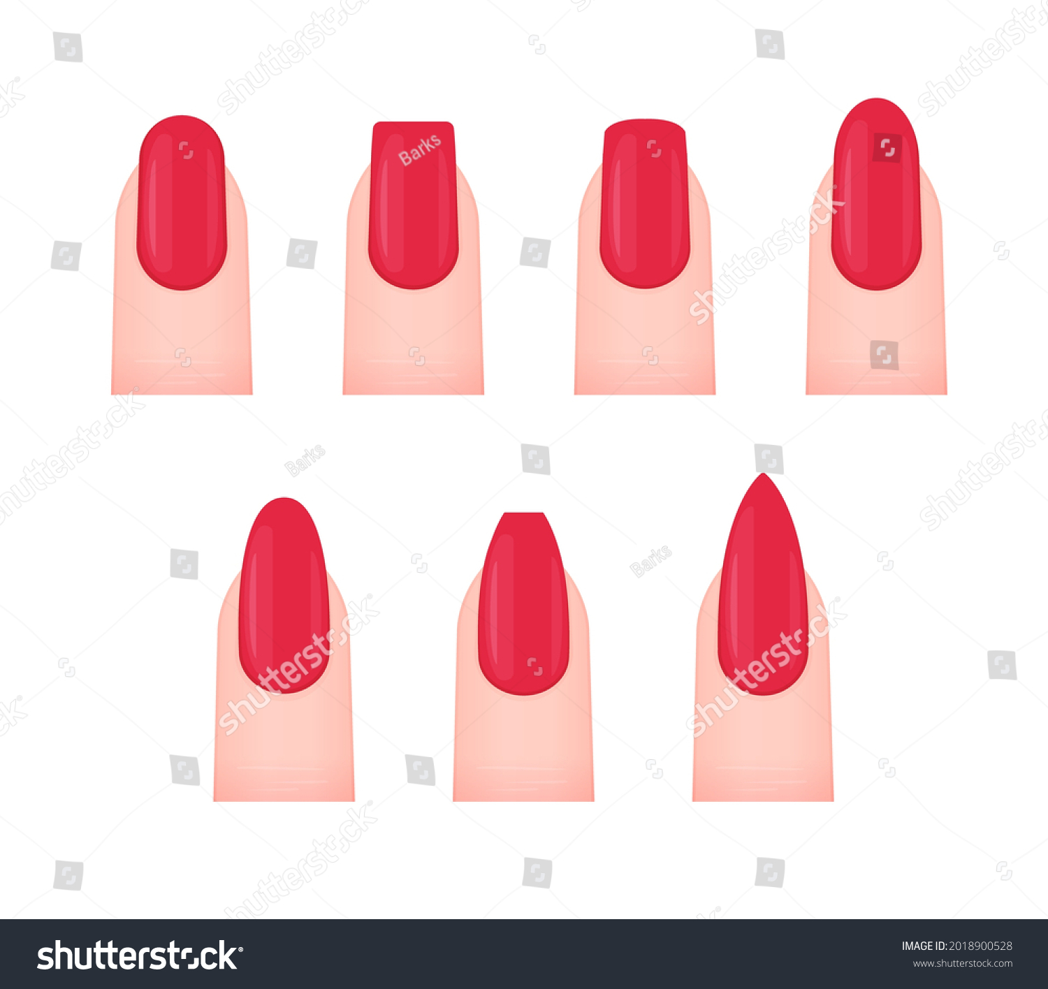 Various Nail Shapes Vector Illustration Set Stock Vector Royalty Free 2018900528 8459