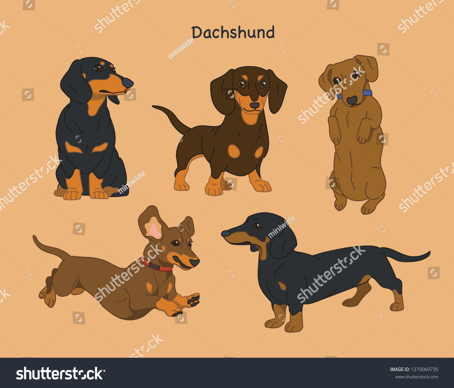 SVG of Various poses of dachshunds. hand drawn style vector design illustrations.  svg