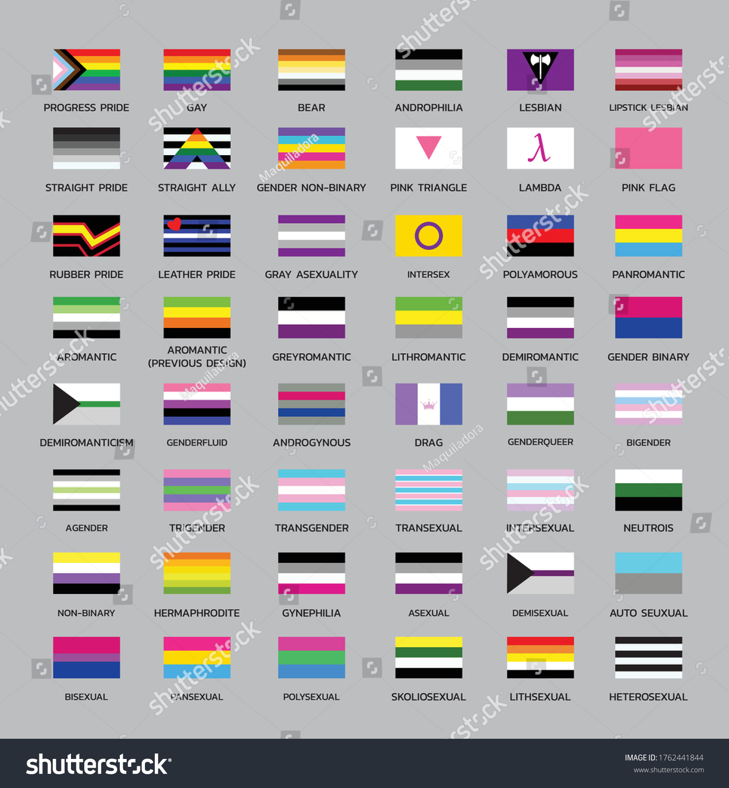 Various Pride Flags Differentation Set 1 Stock Vector (Royalty Free ...
