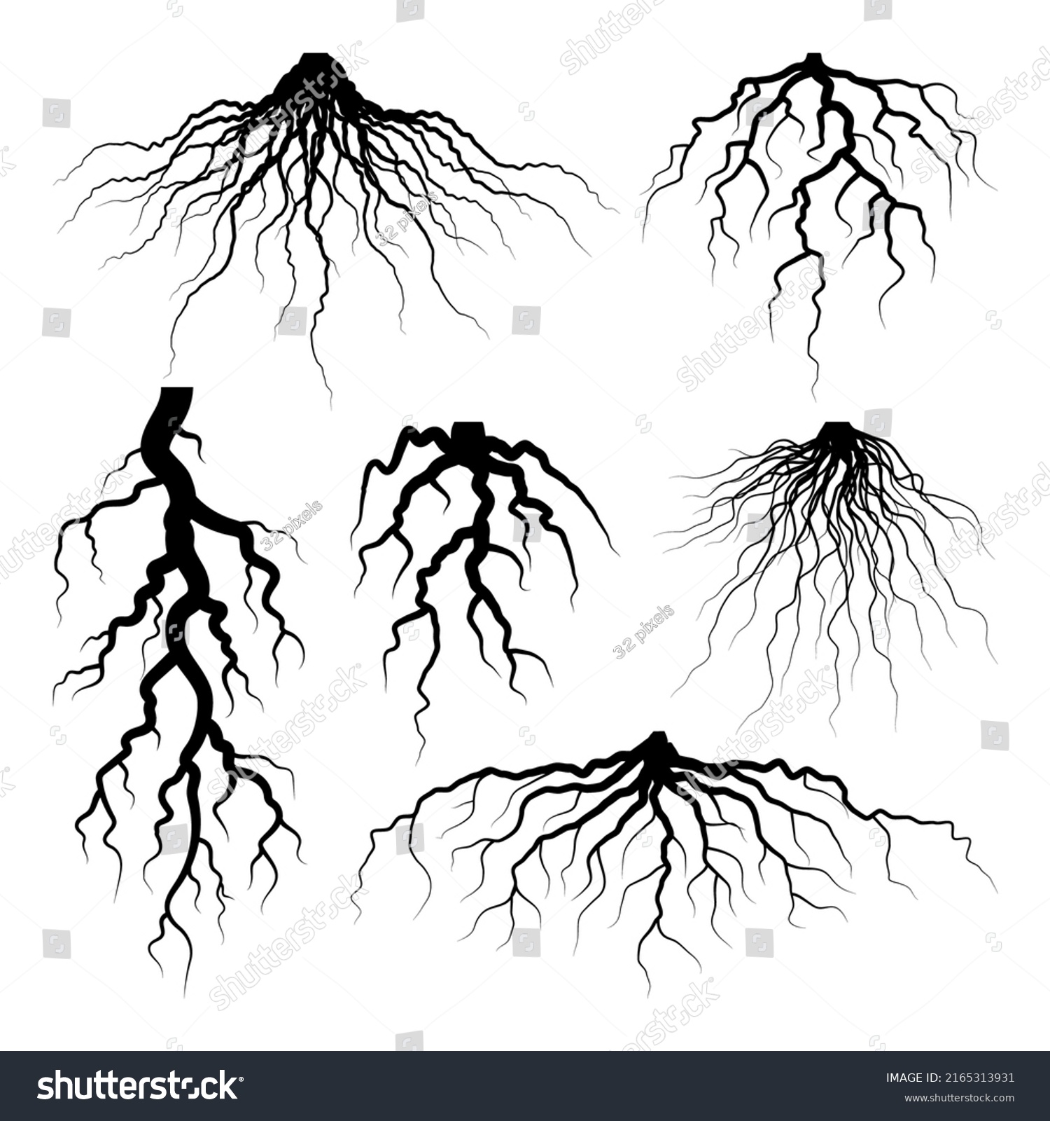 Various Realistic Tree Shrub Roots Parts Stock Vector (Royalty Free ...