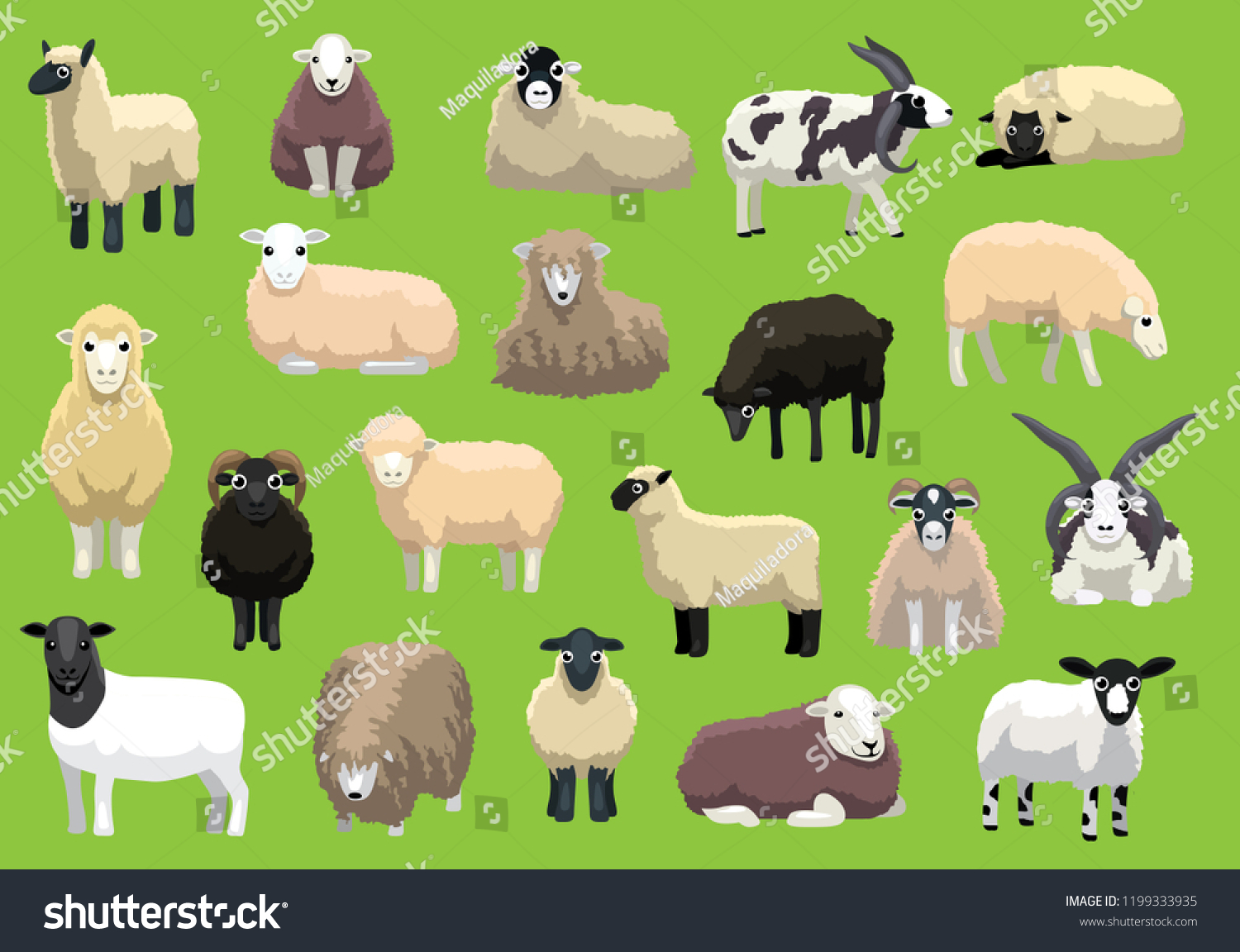 SVG of Various Sheep Breeds Poses Cartoon Vector Characters svg