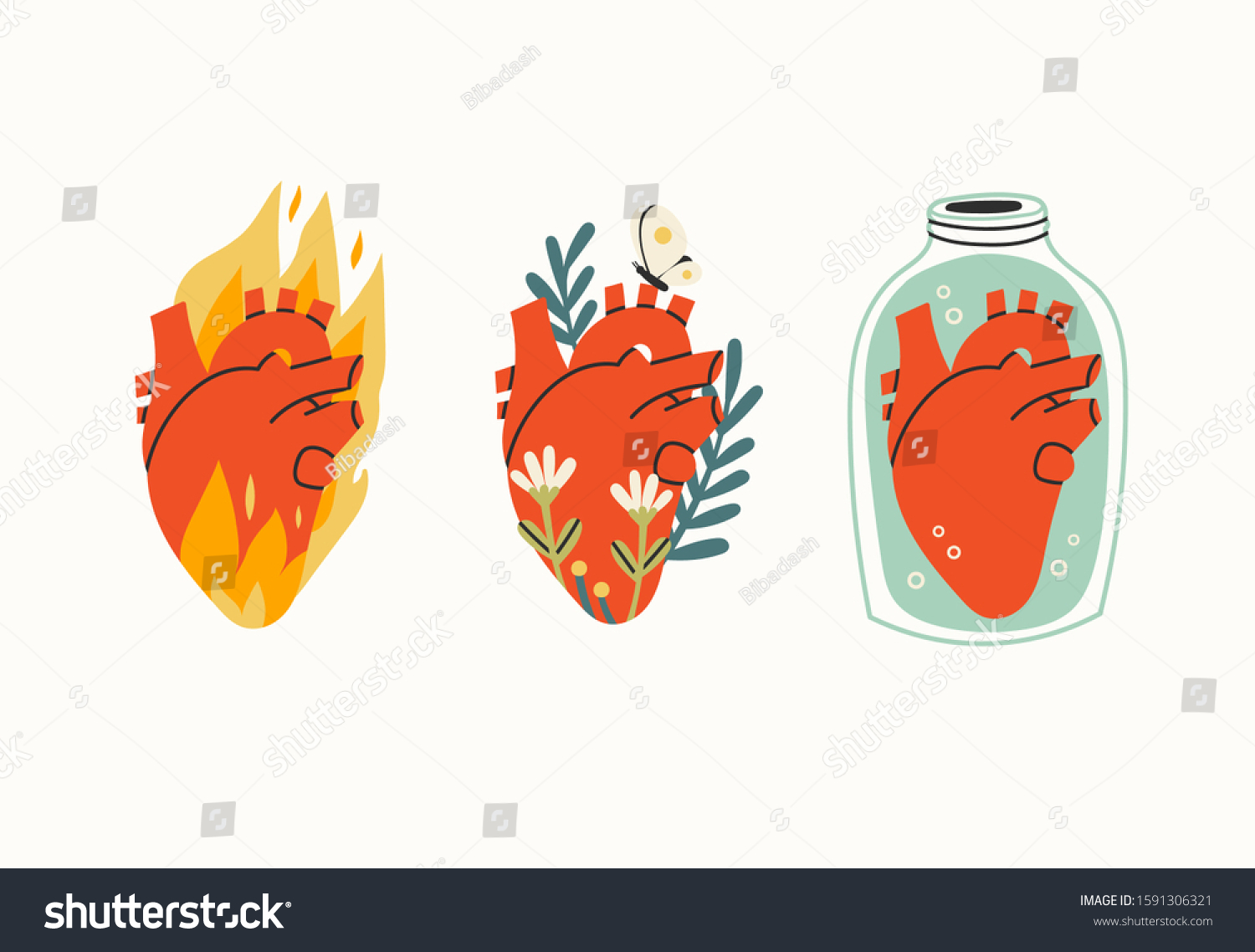 Various Three Anatomical Hearts Heart On Miscellaneous Objects