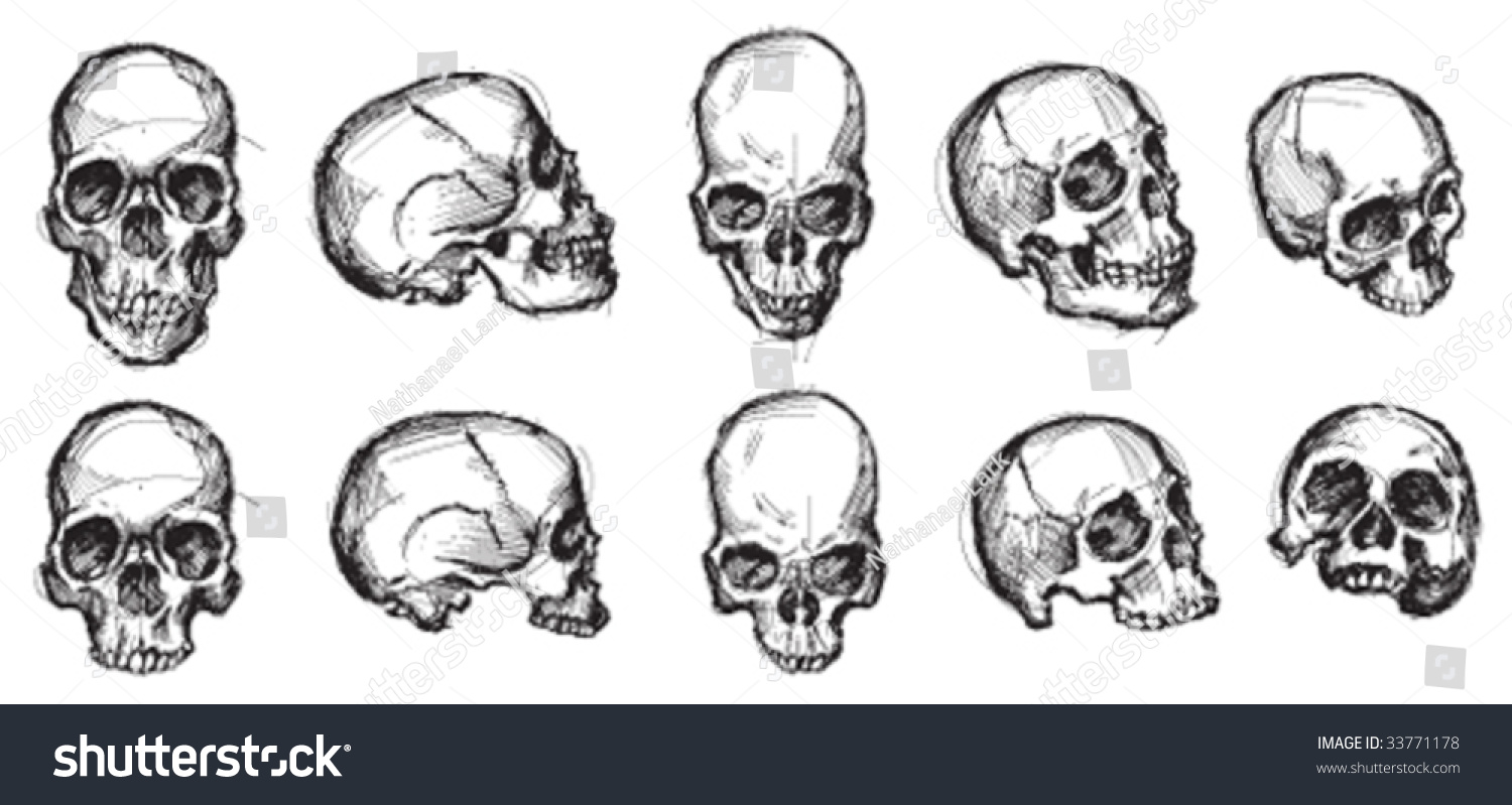 Vector Collection Skulls No White Fills Stock Vector 33771178 ...