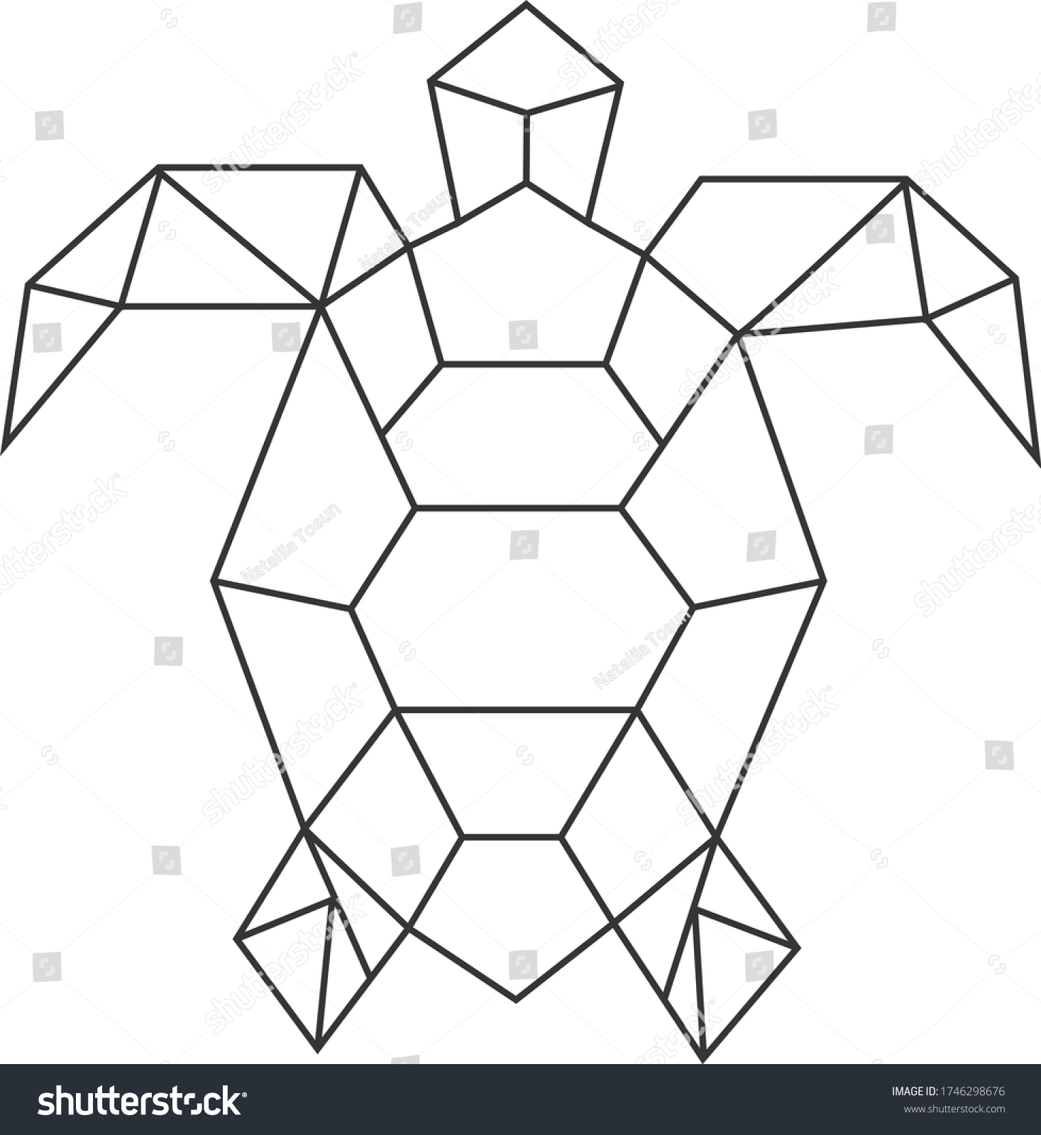 Turtle geometric Images, Stock Photos & Vectors | Shutterstock