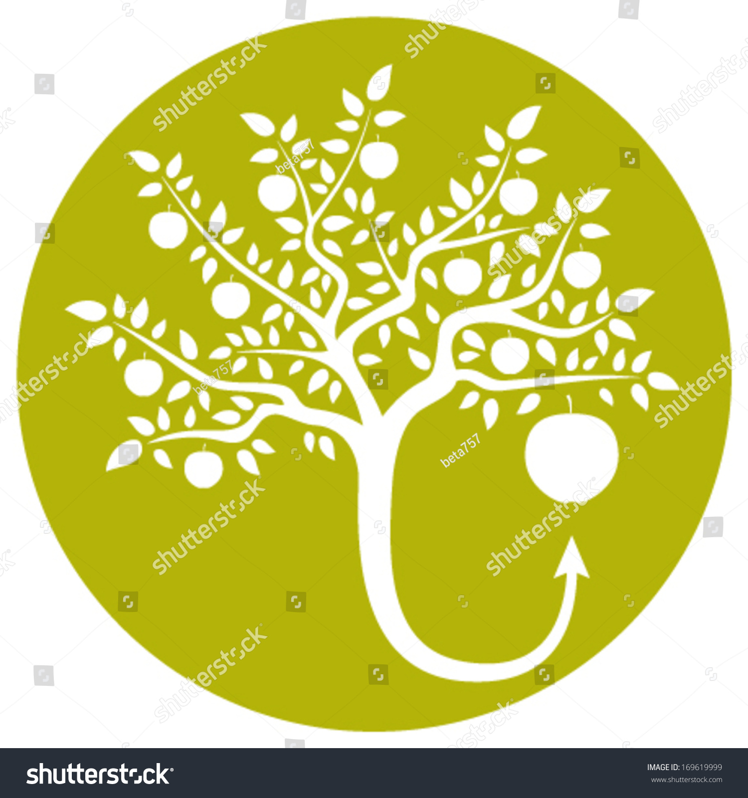 Vector Apple Tree Life Cycle Isolated Stock Vector Royalty Free 169619999