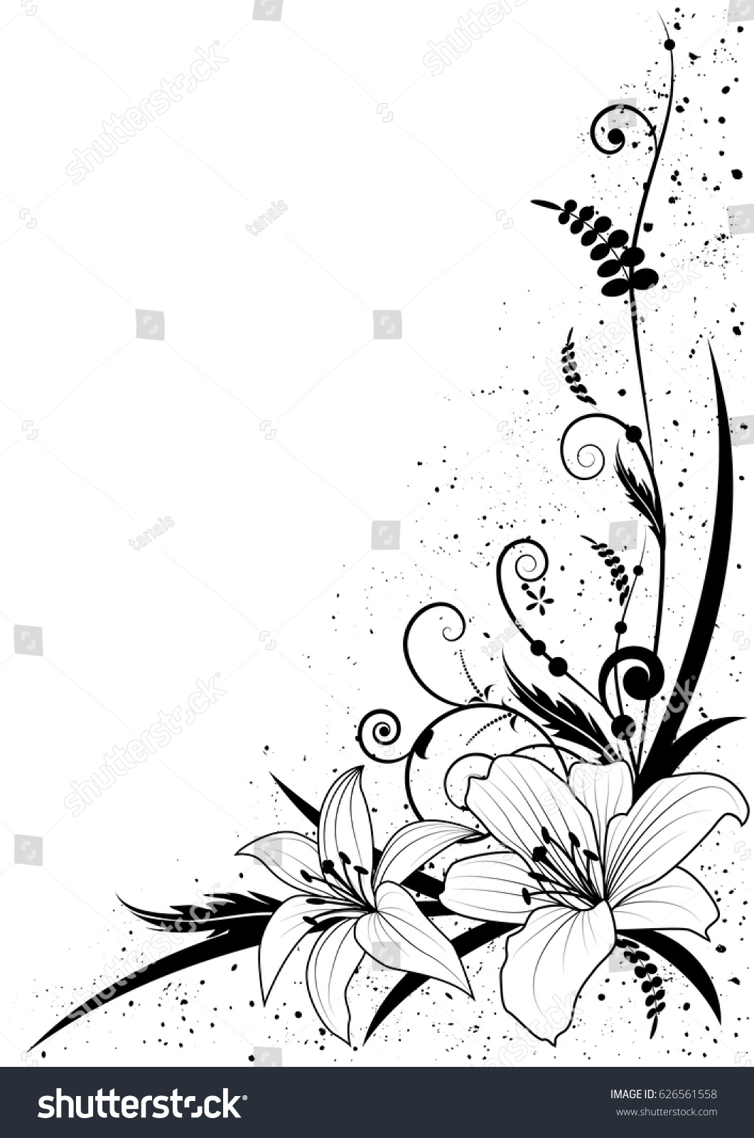 コーナーデザイン用に白黒のリリーの花を持つベクター画像の背景 のベクター画像素材 ロイヤリティフリー
