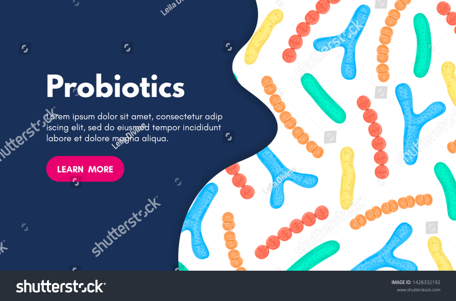 Vector Background Probiotics Bifidobacterium Lactobacillus ...