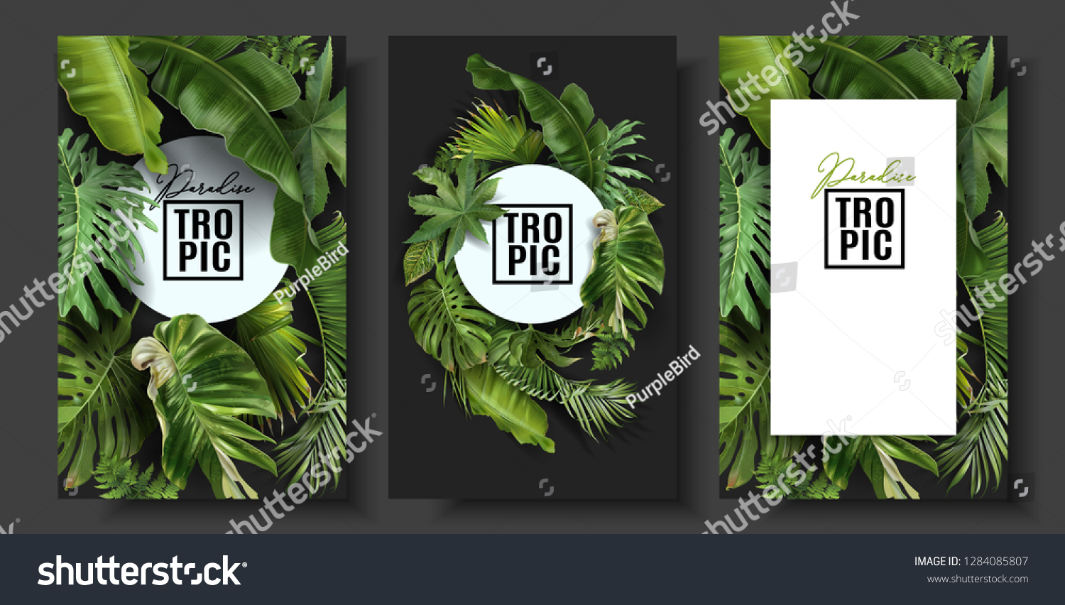 SVG of Vector banners set with green tropical leaves on black background. Exotic botanical design for cosmetics, spa, perfume, beauty salon, travel agency, florist shop. Best as wedding invitation cards svg