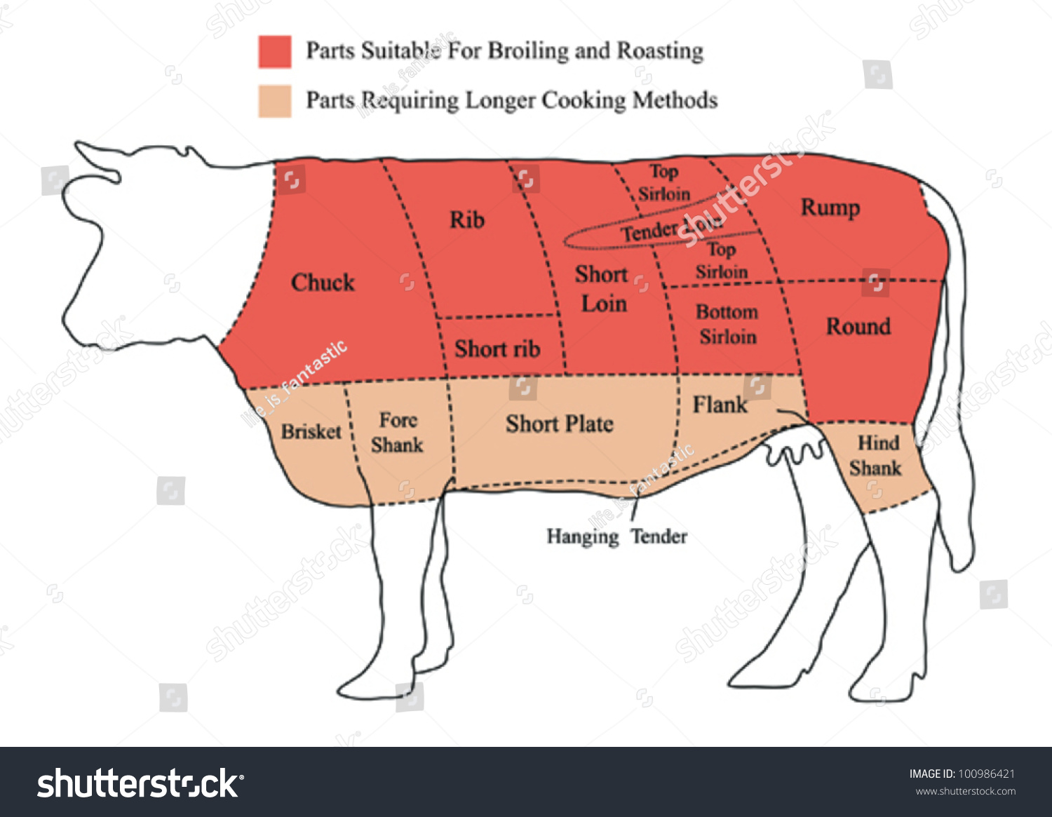 Vector Beef Cuts Chart (Cow) - 100986421 : Shutterstock