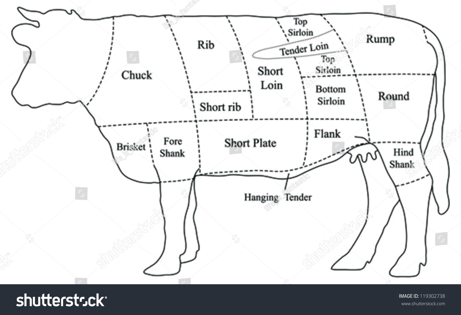 Vector Beef Cuts Chart (Cow) In Black Isolated On White Background ...