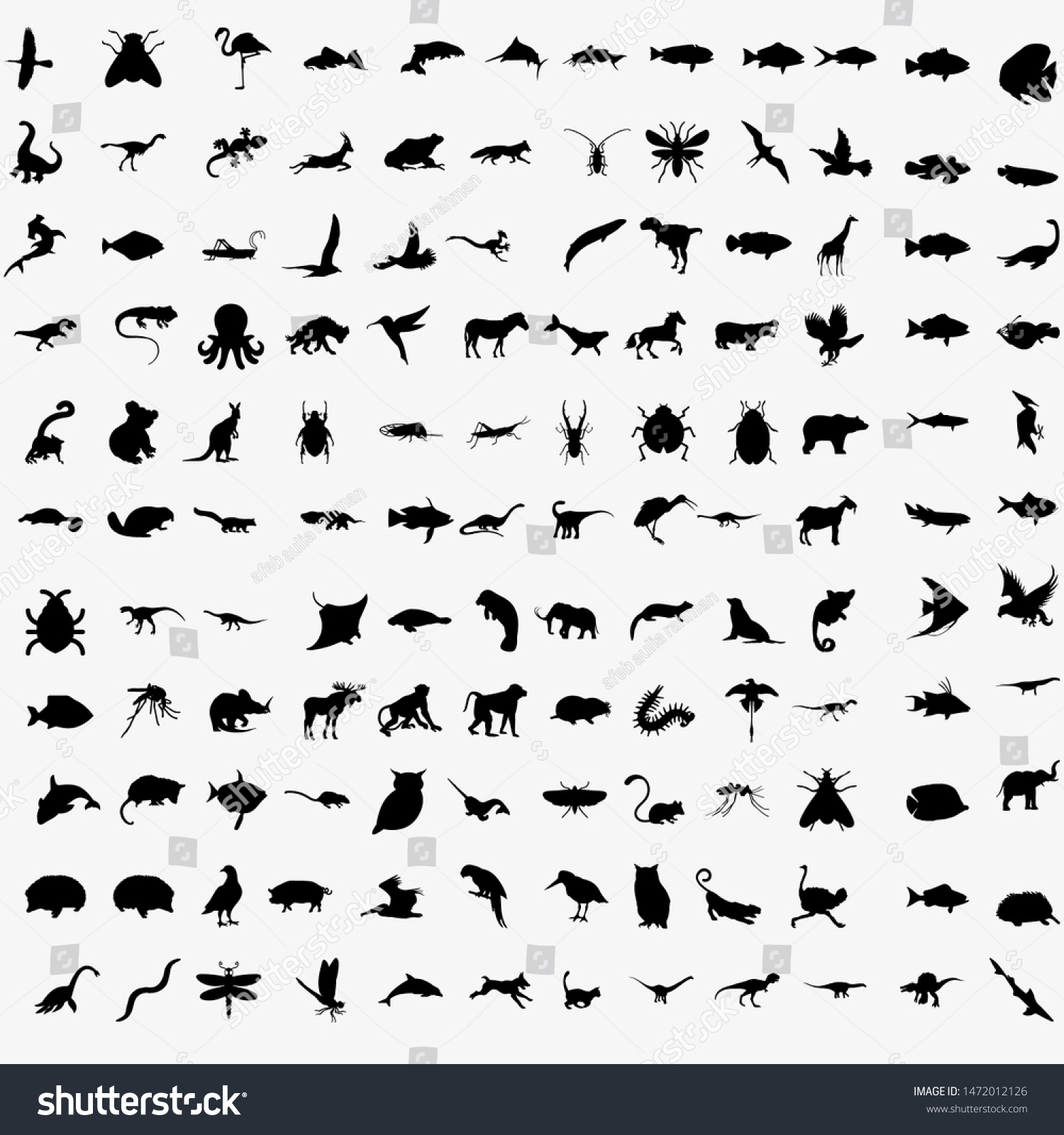 SVG of Vector Big Set of Animals Silhouettes. Mammals, Reptiles, Amphibia, Birds, Bats and other. svg