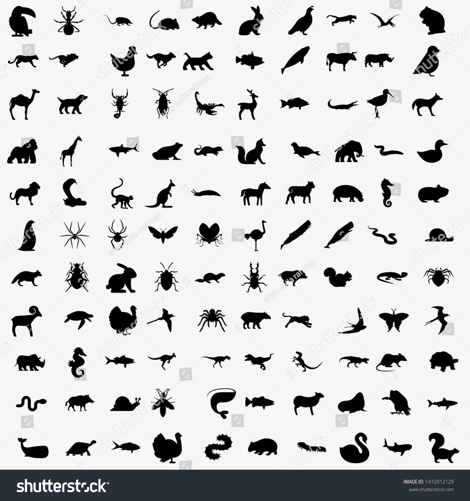 Vector Big Set Animals Silhouettes Mammals Stock Vector (Royalty Free ...