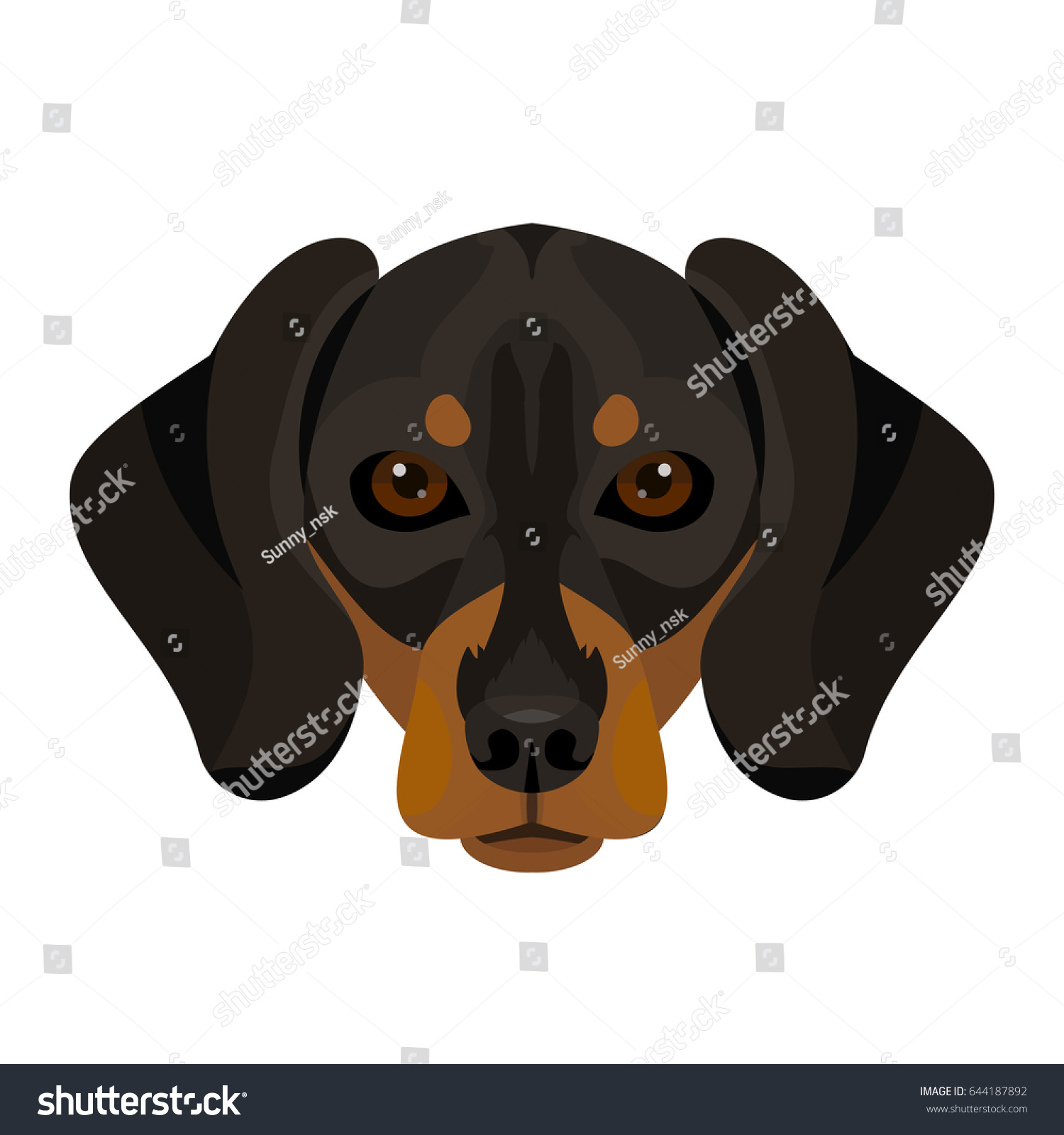 Vector Black Brown Dachshud Dog Breed Stock Vector Royalty Free 644187892