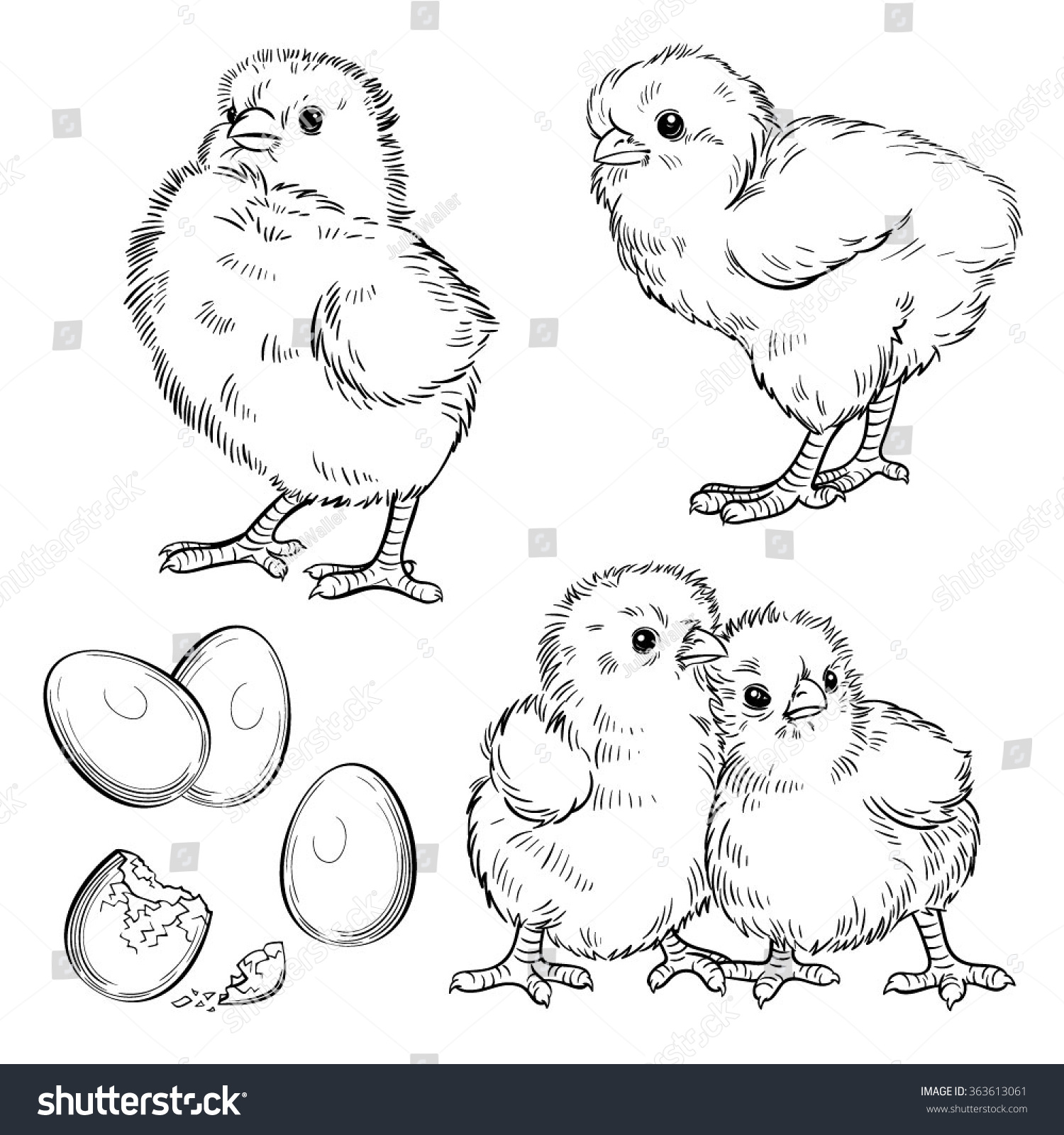 Vector Black White Chickens Set Illustration Stock Vector (Royalty Free ...