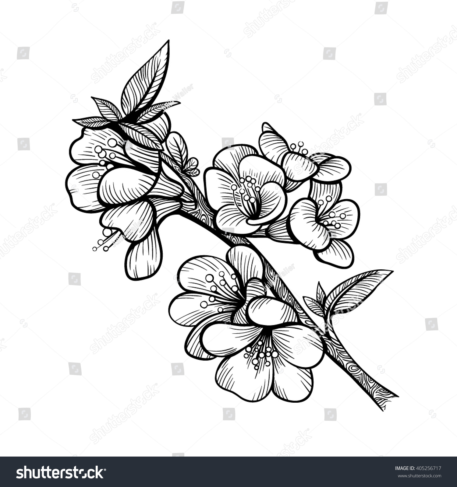 Vector Black White Flower Branch Illustration Stock Vector 405256717 ...