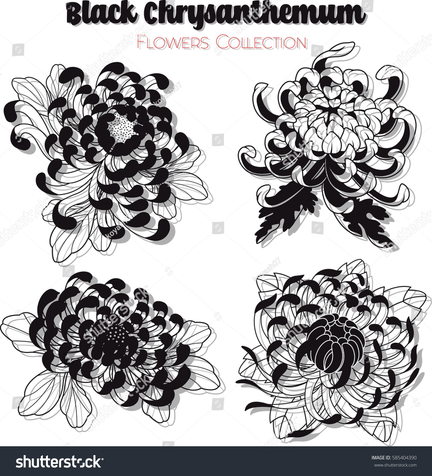 Vector Black Chrysanthemum Flowers Set Tattoo Stock Vector Royalty Free 585404390