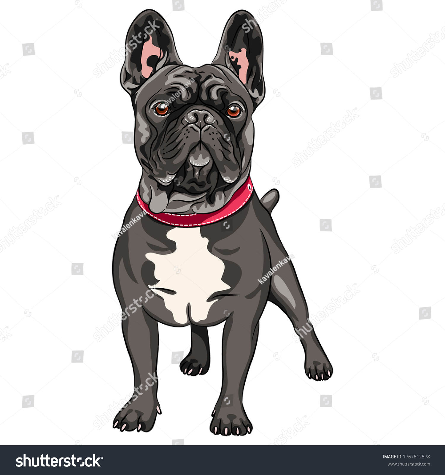 30 Clipart of black and white frenchie dogs Images, Stock Photos ...